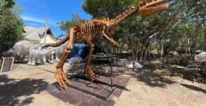 Foto: (Divulgação/Alchymist Prehistoric Park)