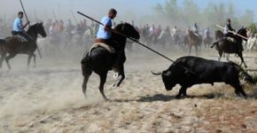 Massacre de touros com lanças é finalmente proibido na Espanha