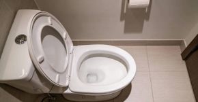 Por que os japoneses se sentam ao contrário no vaso sanitário: o motivo é surpreendente, mas faz sentido