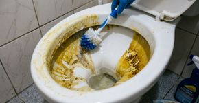 Como lavar manchas amarelas de vaso sanitário: é só despejar isso e deixar branco como novo