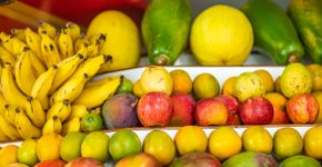 Foto: (Ranimiro Lotufo Neto/istock)