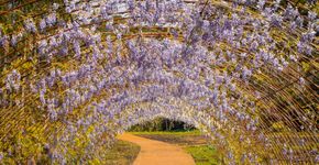 Foto: (Márcio Pinto//Divulgação/Mátria Parque de Flores)