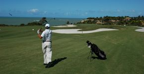 Jacaré vira ‘mascote’ em campo de golfe nos EUA