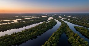 Mais de 400 ilhas distribuídas por aproximadamente 130 quilômetros de rios amazônicos: o parque de 350 mil hectares onde a parte fluvial ocupa cerca de 60% da área em um dos maiores arquipélagos fluviais do mundo