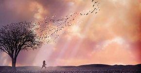 28 Paletas de cores do cinema e suas sensações