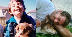 De partir o coração: a 1ª e a última foto de animais de estimação
