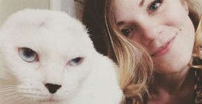 Estudante adota gato sem orelhas que acaba a salvando