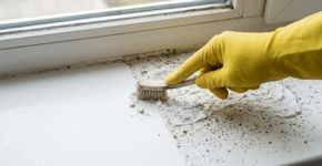 Um utensílio de cozinha comum remove o mofo do parapeito da janela para sempre, sem produtos químicos