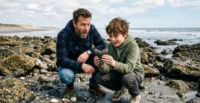 Férias na praia terminam com descoberta inesperada: família encontra dente de um megalodonte extinto há milhões de anos