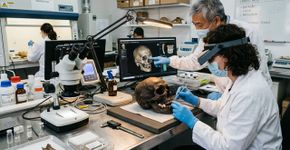 Crânios de 2.000 anos no Vietnã revelam que sociedades antigas tingiam permanentemente seus dentes, uma prática estética que persistiu muito após a extinção das populações que a criaram