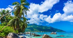 Foto: (SimonDannhauer/iStock)