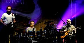 Show dOs Paralamas do Sucesso será transmitido pela VEVO