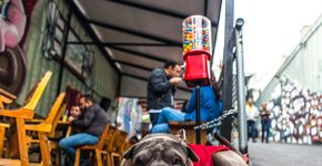 Novos amigos & cafuné na orelha