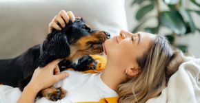 12 nomes perfeitos para cachorros carinhosos 