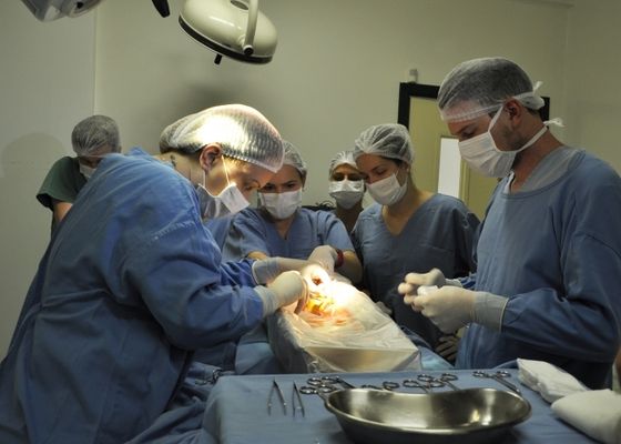 Foto: UPF/Divulgação 
