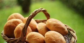 Saiba como fazer pão de hambúrguer caseiro macio