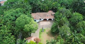 Casa da Bruxa reúne feira, música, experiências e gastronomia no Parque Profº Luiz Carlos Grecco neste sábado (10)