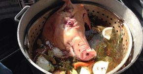 As comidas regionais mais asquerosas que existem no mundo