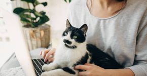 Foto: (Bogdan Kurylo/istock)