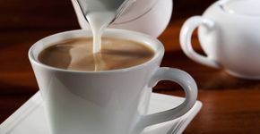 Foto: (iStock/AnnapolisStudios)
