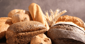 Comer pão todos os dias faz mal? Veja como incluir o alimento na rotina de forma equilibrada