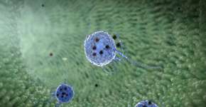 Foto: (Ugreen/istock)