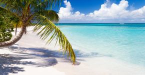Foto: (cdwheatley/iStock)