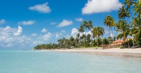 Foto: (wagnerokasaki/iStock)