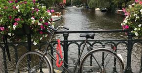 Holanda: 7 motivos para visitar Amsterdã