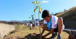 Crianças começam plantio de um milhão de árvores em Mariana