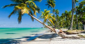 Foto: (Istock/Thiago Santos)