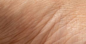 Foto: (sruilk/DepositPhotos)