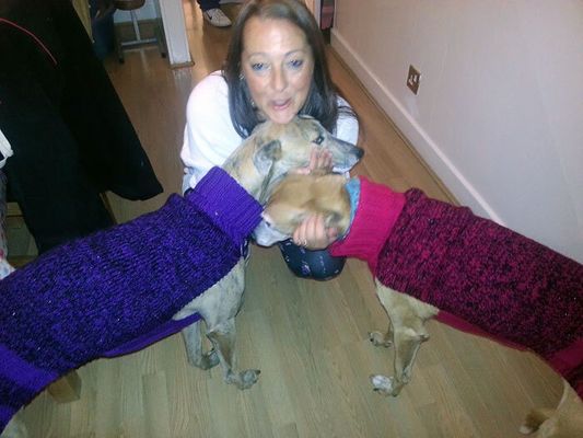A britânica resolveu largar o emprego para tricotar roupas a cães abandonados (Reprodução/Jan Brown)
