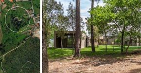 Ideias para construir entre as árvores