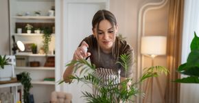 Foto: (iStock/Miljan Živković)