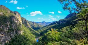 Foto: (Istock/Priscylla Barros)