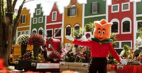 Expoflora 2026: o que fazer e como aproveitar a festa da flores de Holambra