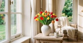 Na Holanda, para a tulipa durar anos: o macete não é a rega constante, mas nunca deixar a água tocar as pétalas