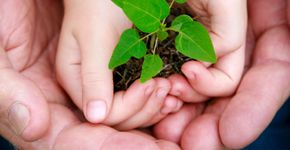 Monitoria de Educação Ambiental no Parque do Povo