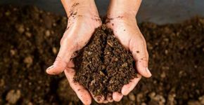Agricultor urbano ensina como montar composteiras dentro das cidades