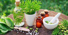 Saiba o que é Homeopatia e como surgiu