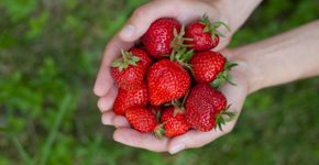 Foto: (iStock/joannatkaczuk)