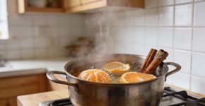 Ferver cascas de tangerina com canela: Para que serve e por que é recomendado em todas as casas?