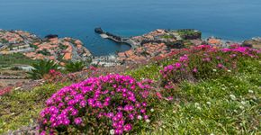Foto: (Divulgação/Turismo da Madeira)