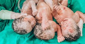 Foto: (divulgação/Hospital Maternidade Marieta Konder Bornhausen)