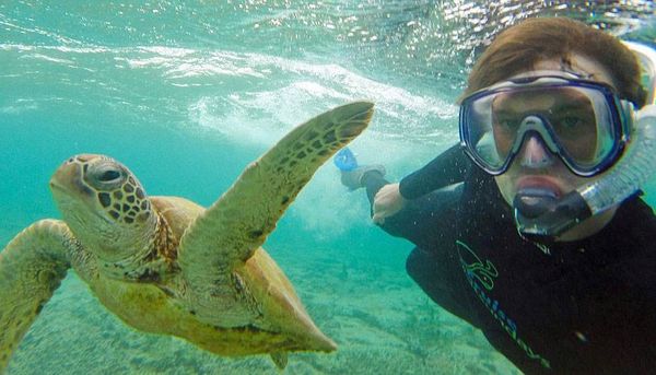 Fotógrafo tira selfies com animais