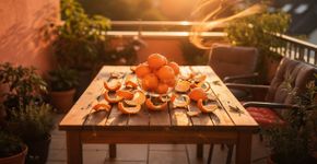 Não jogue fora as cascas de laranja sem experimentar este truque de verão