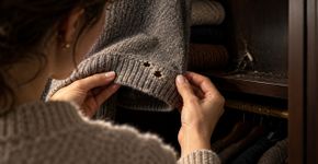 Moradora começa a encontrar pequenos furos nas roupas guardadas, culpa a máquina de lavar e descobre que o problema estava dentro do próprio armário