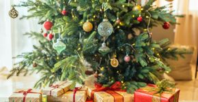 Foto: (ArtMarie/istock)