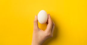 Por que, segundo a ciência, comer ovo ajuda a melhorar a memória